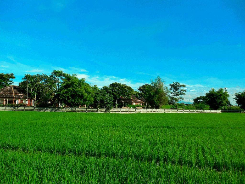 Palm Spa Village Resort แม่ริม ภายนอก รูปภาพ