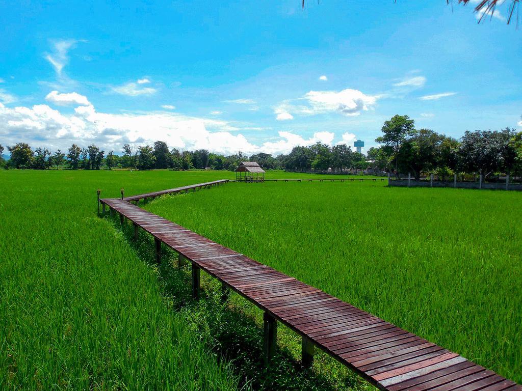Palm Spa Village Resort แม่ริม ภายนอก รูปภาพ