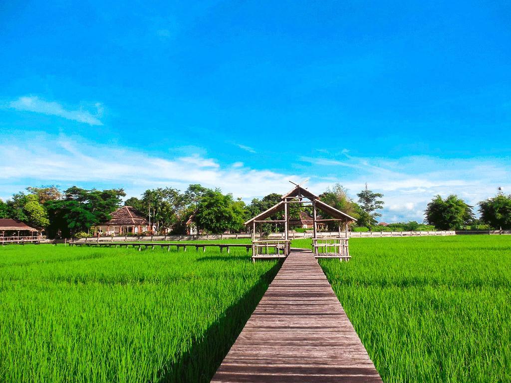 Palm Spa Village Resort แม่ริม ภายนอก รูปภาพ