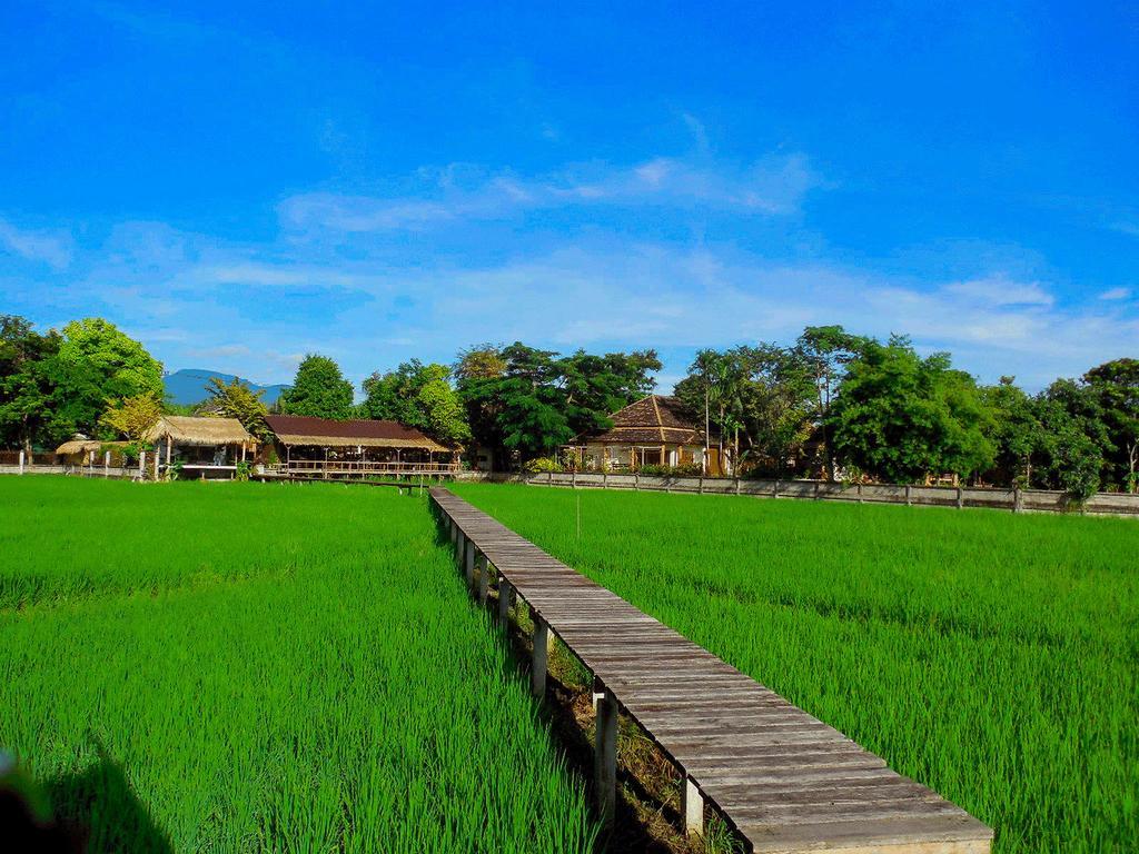 Palm Spa Village Resort แม่ริม ภายนอก รูปภาพ