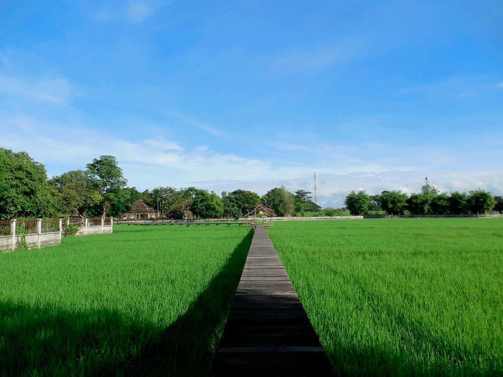 Palm Spa Village Resort แม่ริม ภายนอก รูปภาพ