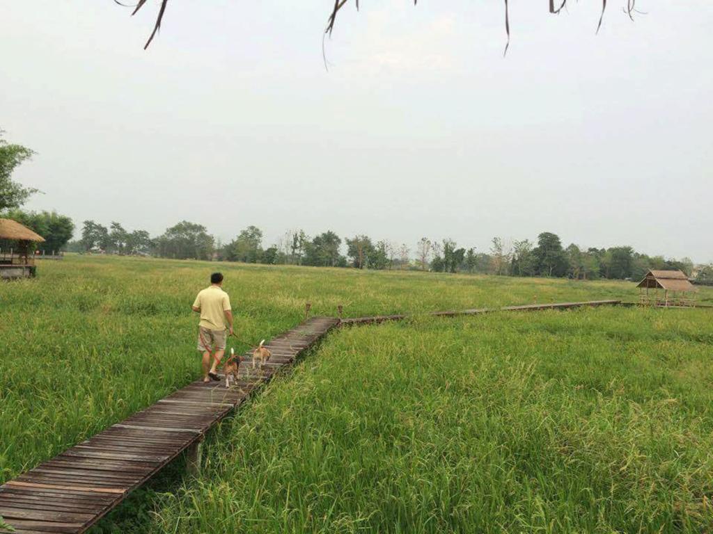 Palm Spa Village Resort แม่ริม ภายนอก รูปภาพ